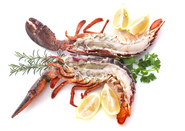 Two Lobsters Front White Background — Stock Photo, Image