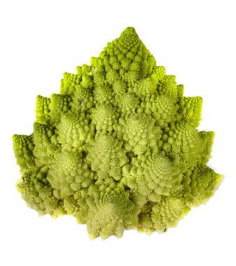 Beyaz arka plan önünde yeşil Romanesco karnabahar