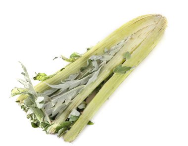 fresh cardoon in front of white background clipart