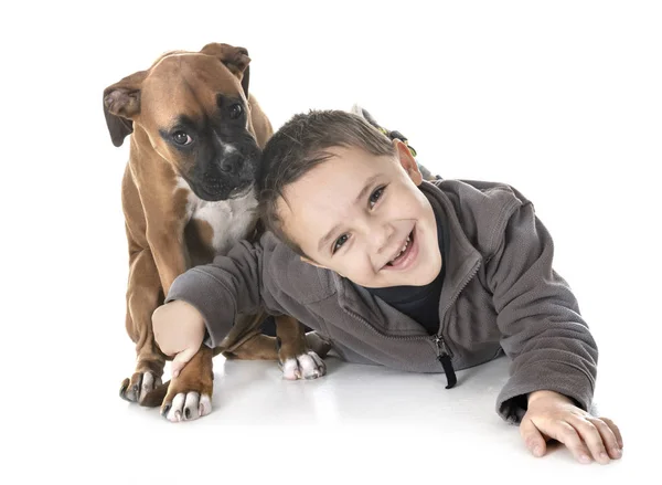 Puppy boxer e menino — Fotografia de Stock