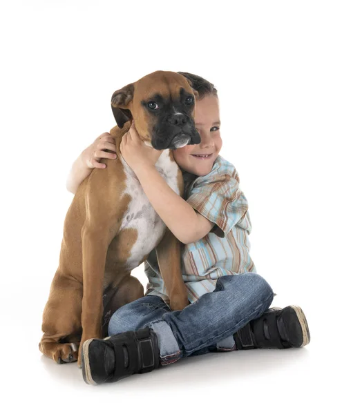 Cachorro boxeador y niño — Foto de Stock