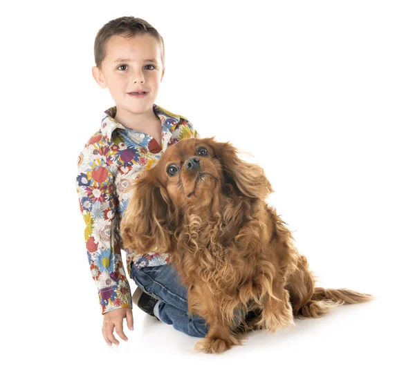 Cavalier king charles en kind — Stockfoto