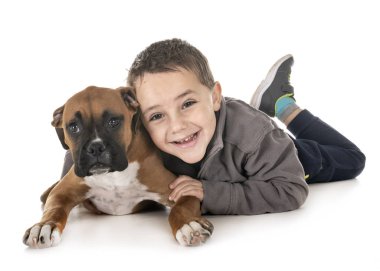 köpek yavrusu boxer ve çocuk