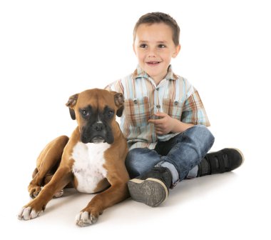 köpek yavrusu boxer ve çocuk
