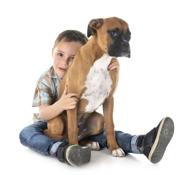 Cachorro boxeador y niño — Foto de Stock