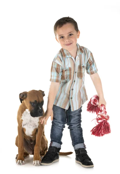 Köpek yavrusu boxer ve çocuk — Stok fotoğraf