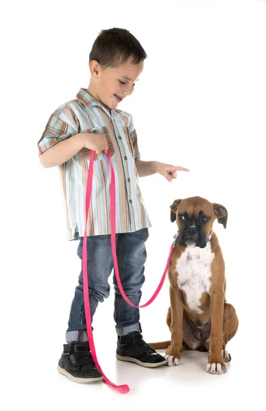 Puppy boxer and child — Stock Photo, Image
