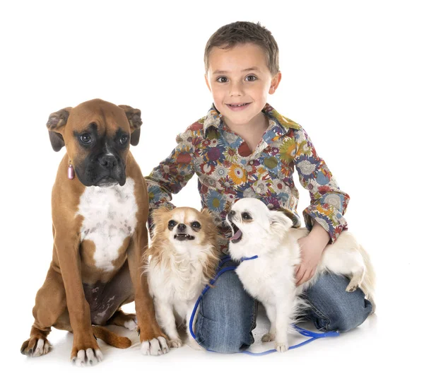 Hunde und Kind — Stockfoto