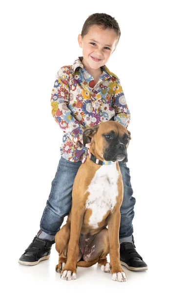 Welpen-Boxer und Kind — Stockfoto