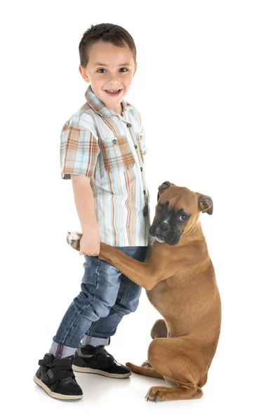 Cachorro boxeador y niño — Foto de Stock