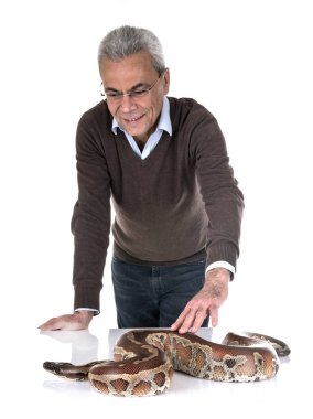 Python brongersmai ve adam