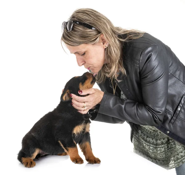 Cucciolo rottweiler in studio — Foto Stock