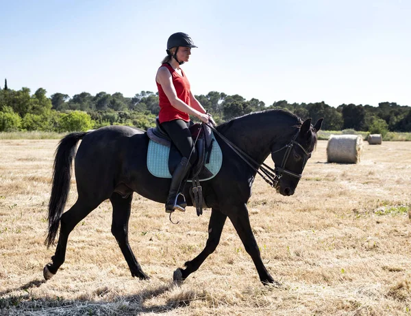 Équitation fille et cheval — Photo