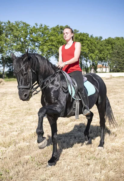 乗馬の女の子と馬 — ストック写真