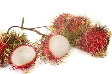 Stüdyo Rambutan