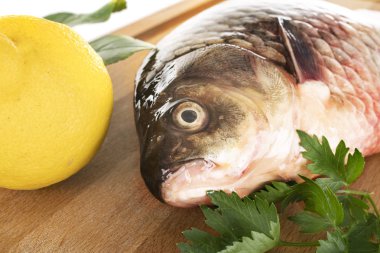 stüdyodan ortak sazan