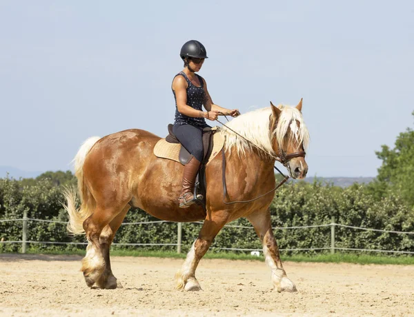 乗馬の女の子と馬 — ストック写真