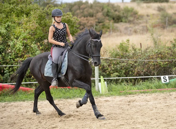 Équitation fille et cheval — Photo