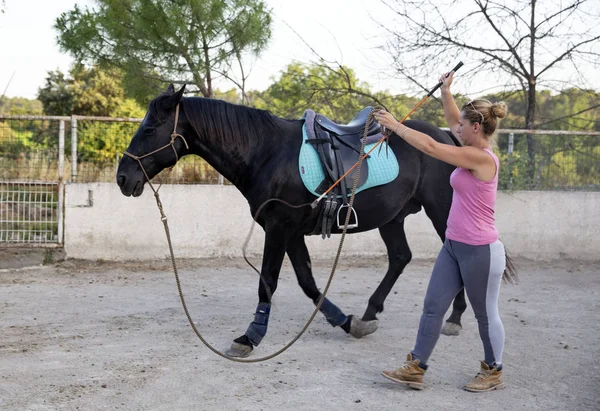 Équitation fille et cheval — Photo