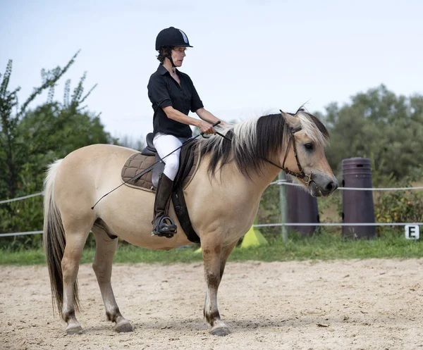 Chica montando y caballo — Foto de Stock