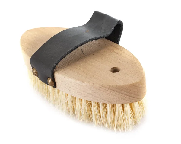 Brush for horse — Stock Photo, Image