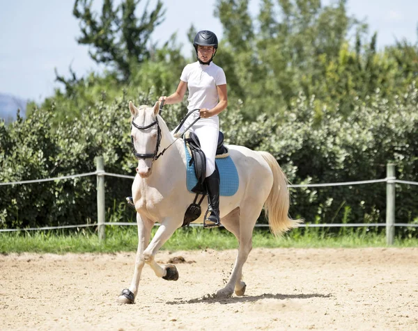 Riding girl and horse — Stock Photo, Image