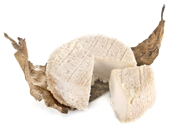 Queso de cabra y hoja — Foto de Stock