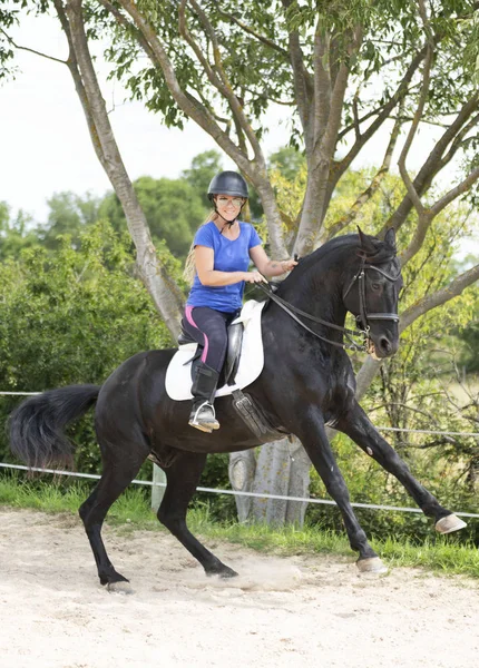 乗馬の女の子と馬 — ストック写真