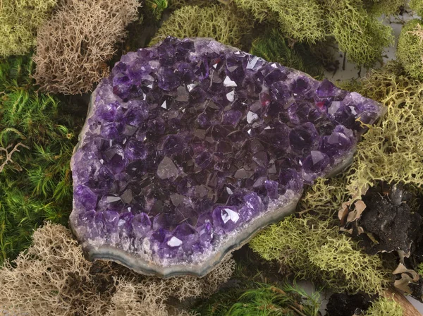 Purple amethyst — Stock Photo, Image