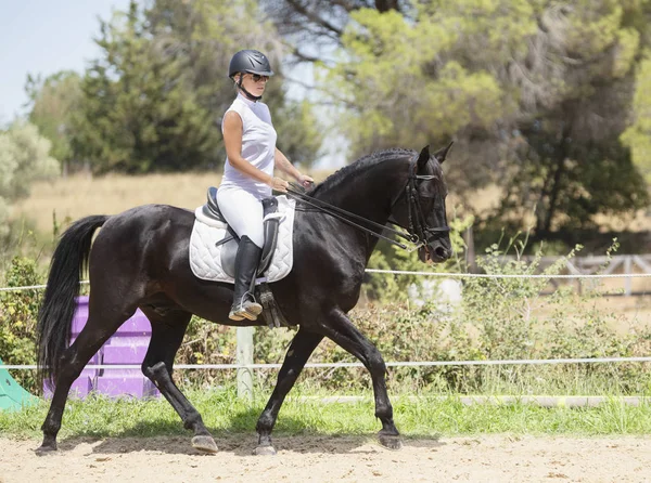 Equitação menina e cavalo — Fotografia de Stock