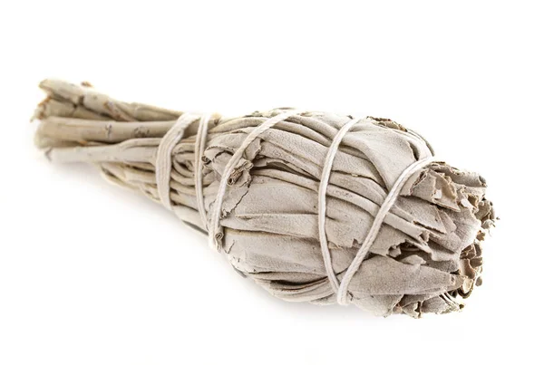 White sage in studio — Stock Photo, Image