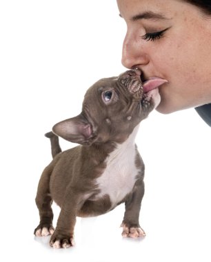 köpek yavrusu amerikan kabadayı yalama