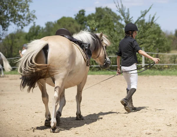 Riding girl and horse — Stock Photo, Image