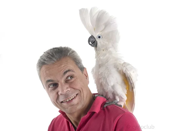 Beyaz kakadu ve adam — Stok fotoğraf