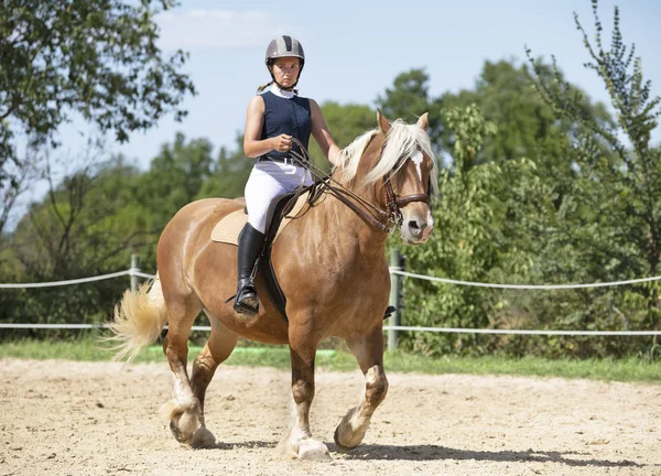 Chica montando y caballo — Foto de Stock