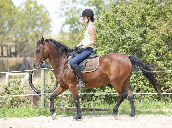 Equitação menina e cavalo — Fotografia de Stock