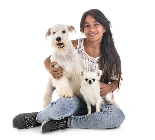 Blanco miniatura schnauzer y adolescente — Foto de Stock