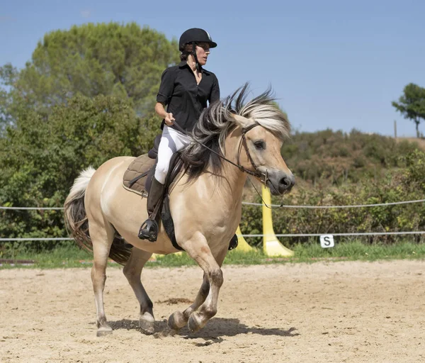 Equitação menina e cavalo — Fotografia de Stock