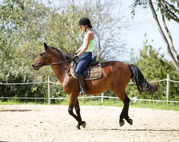 Équitation fille et cheval — Photo
