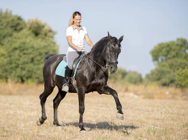 Jezdecká dívka a kůň — Stock fotografie