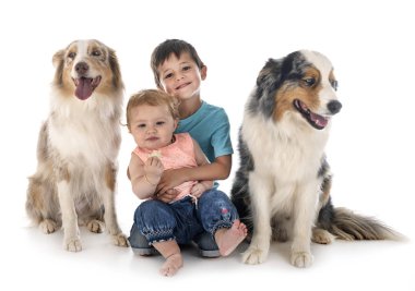 çocuk ve köpekler 