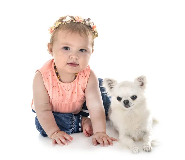 Niño y perro —  Fotos de Stock