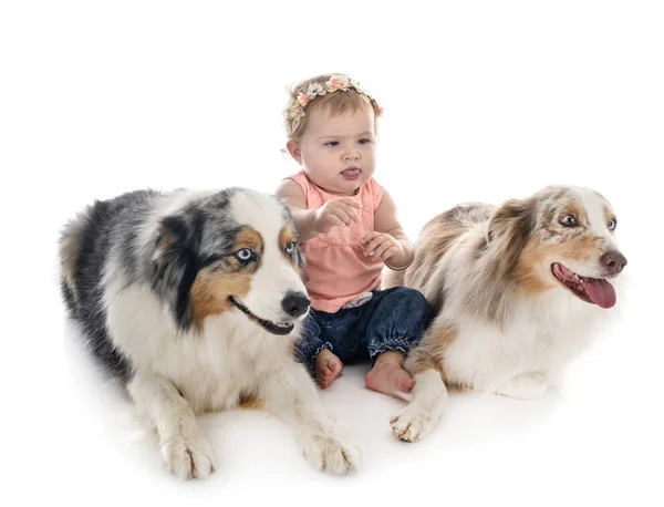 Child and dog — Stock Photo, Image