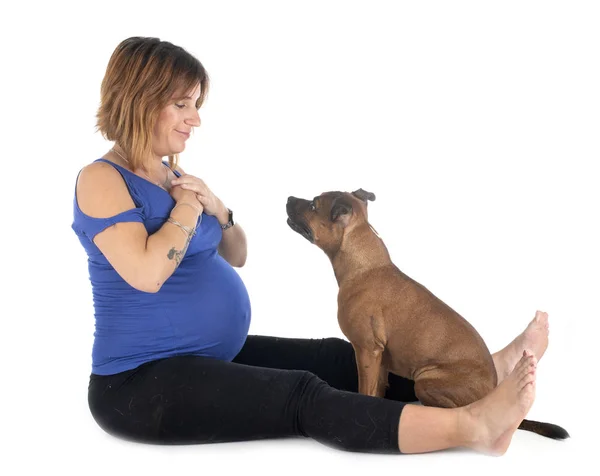Mujer embarazada y perro — Foto de Stock