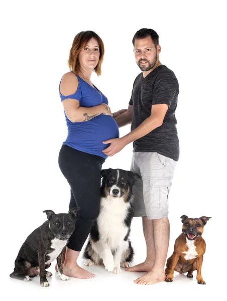 Couple and dogs — Stock Photo, Image