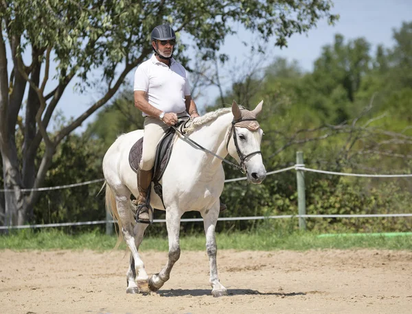 Riding man and horse — Stock Photo, Image