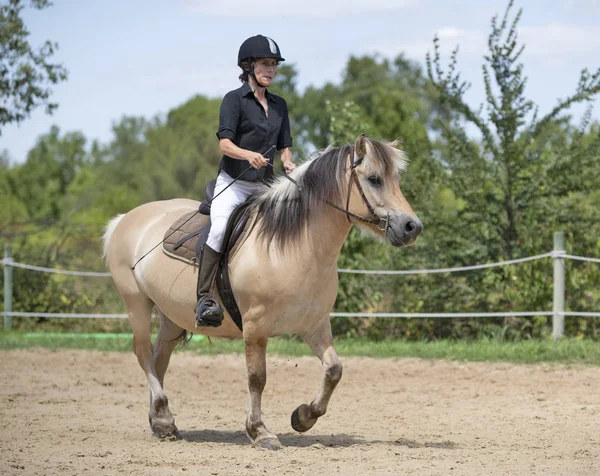 Equitação menina e cavalo — Fotografia de Stock