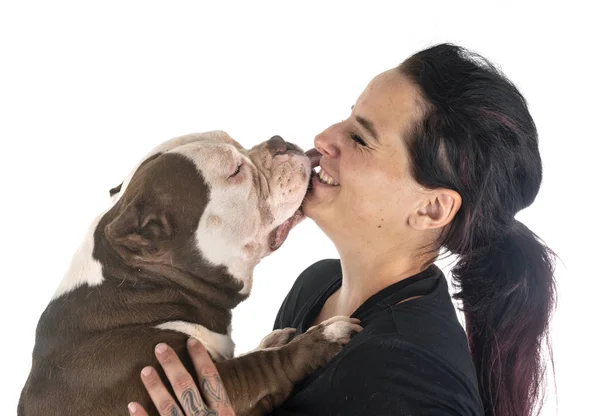 American bully and owner — Stock Photo, Image