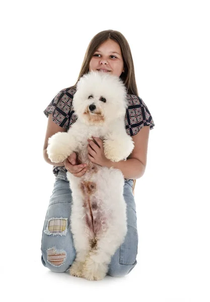 Bichon Frise and teen — Stock Photo, Image