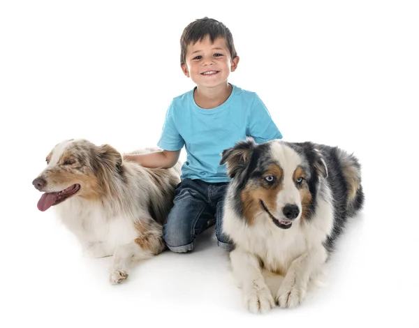 Ребенок и собаки — стоковое фото